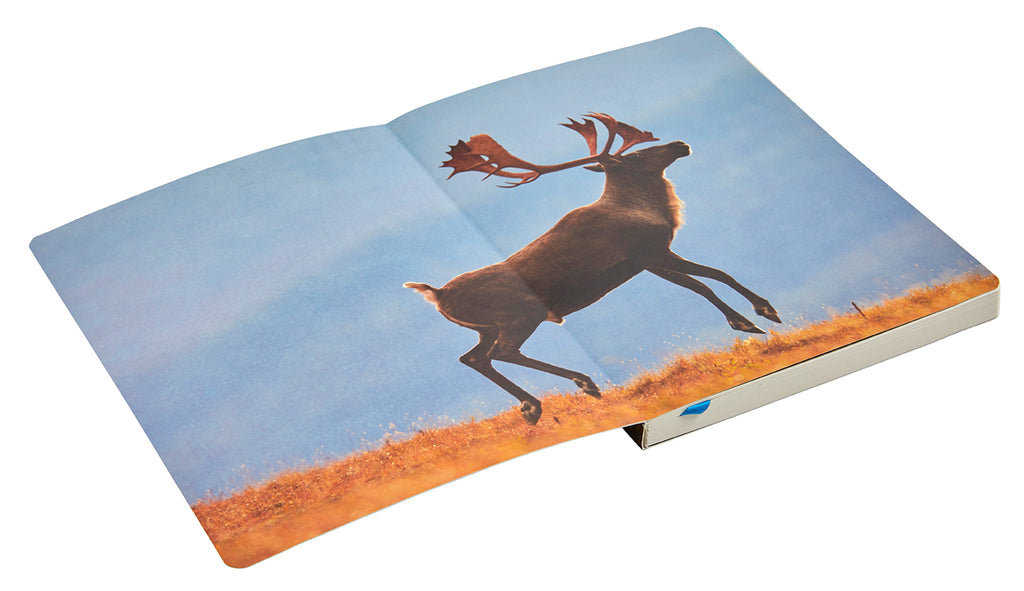 Refuge: Arctic River Softcover Notebook