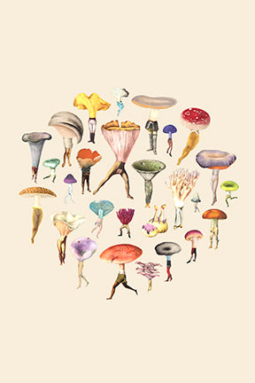 Art of Nature: Fungi Boxed Card Set (Set of 20 Cards)