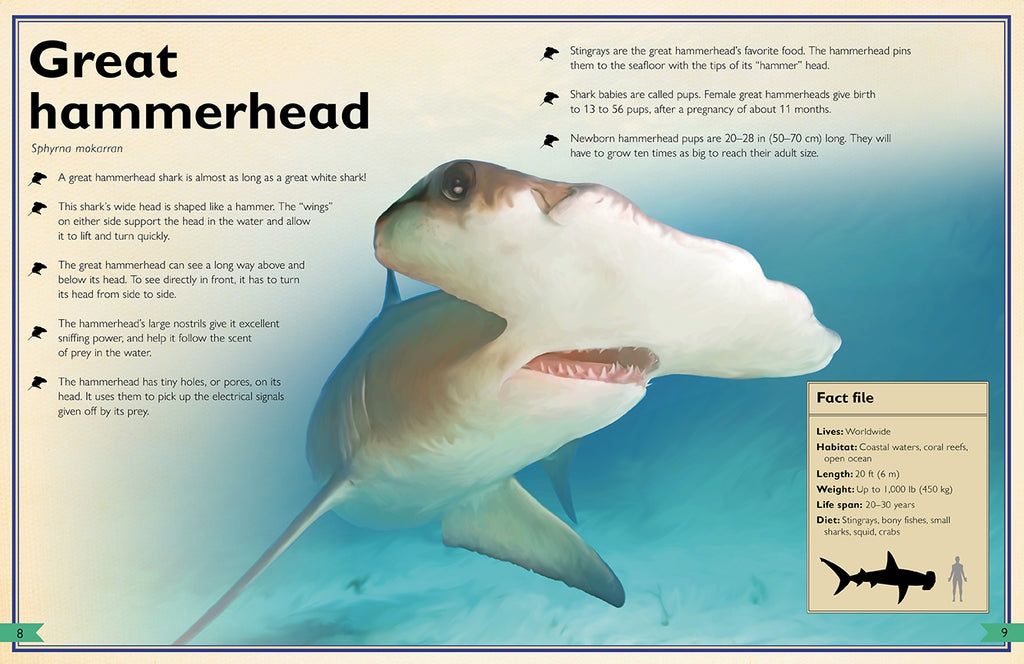 The Magnificent Book of Sharks