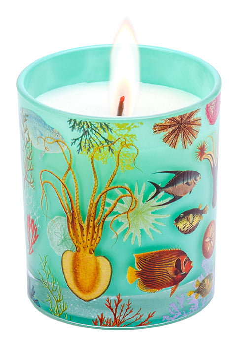 Art of Nature: Under the Sea Scented Glass Candle
