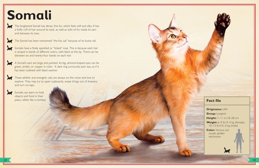 The Magnificent Book of Cats