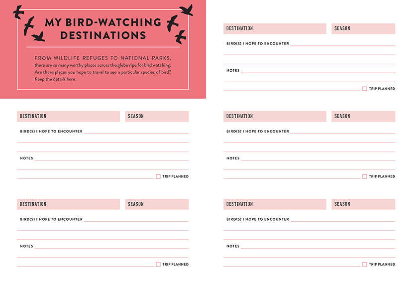 The Bird Watcher's Journal