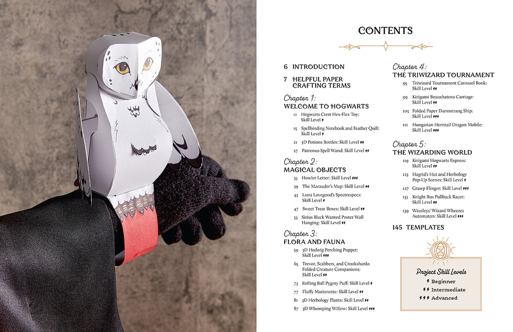 Harry Potter: Magical Paper Crafts