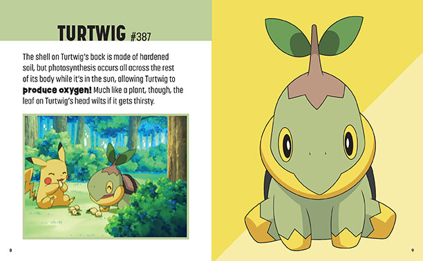 Pokémon: Trainer's Mini Exploration Guide to Sinnoh