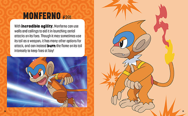 Pokémon: Trainer's Mini Exploration Guide to Sinnoh