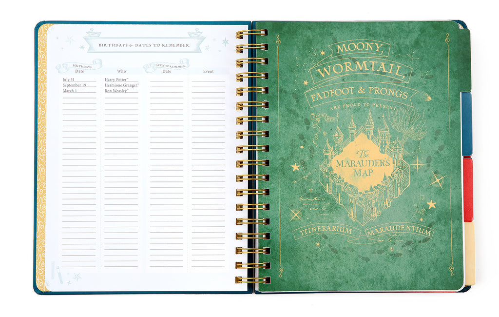 Harry Potter: Spells and Potions 12-Month Undated Planner