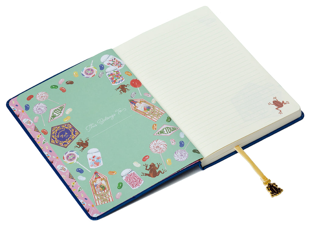 Harry Potter: Chocolate Frog Journal with Ribbon Charm