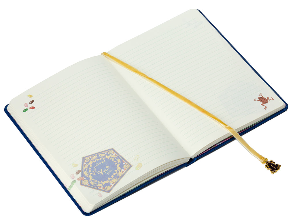 Harry Potter: Chocolate Frog Journal with Ribbon Charm