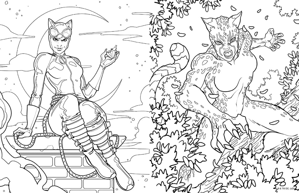 DC Super-Villains: The Official Coloring Book