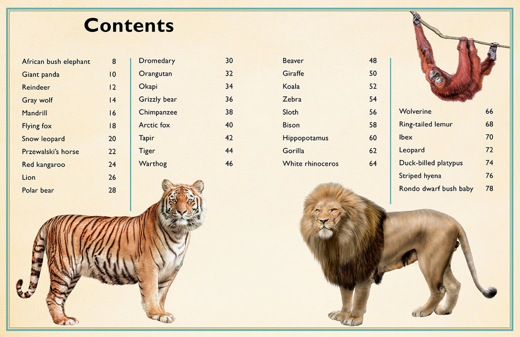 The Magnificent Book of Animals